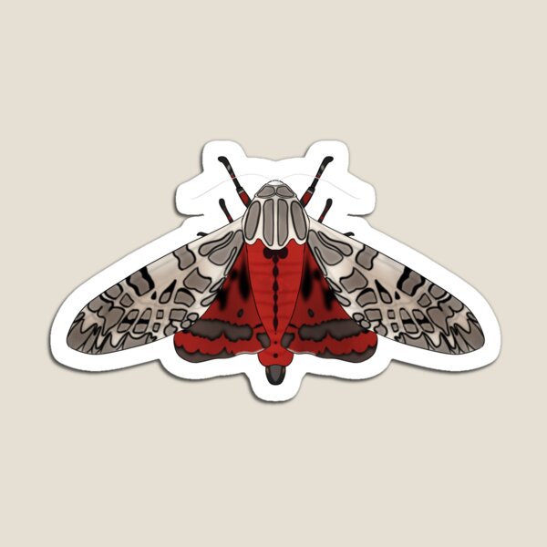 Painted Tiger Moth Sticker