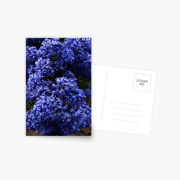 mit kleinen Postkarte