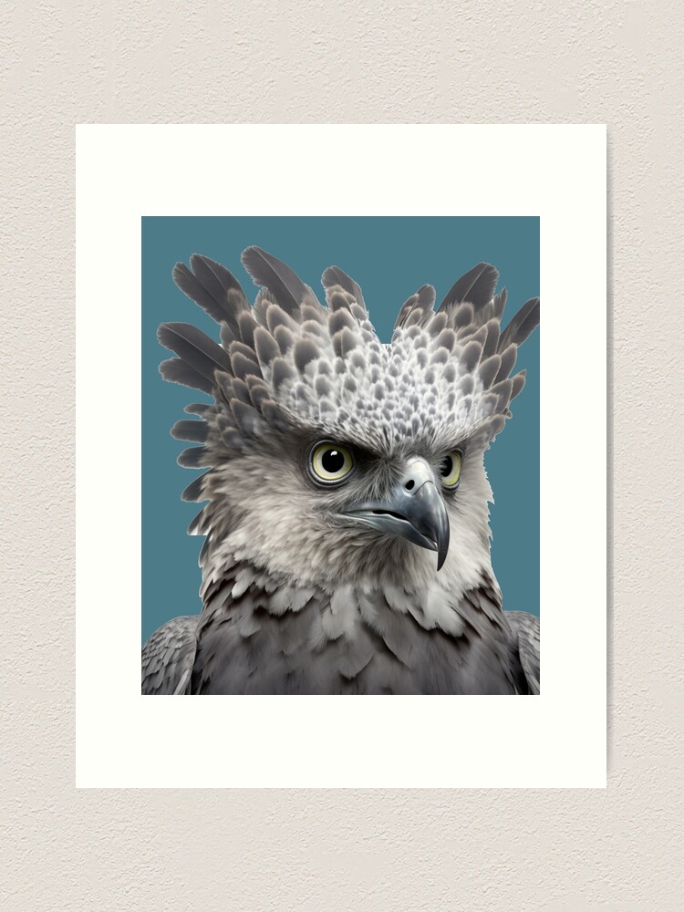 Harpy Eagle | Art Print
