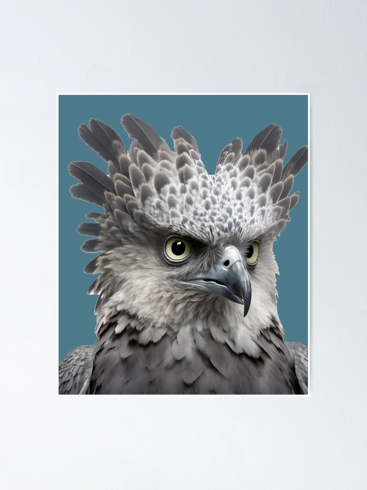 Harpy Eagle Poster for Sale by PharaohofSedona