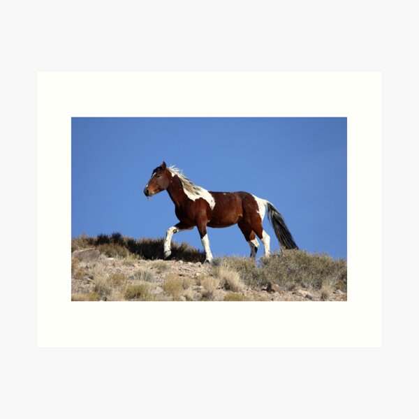 Painted Desert Art Print