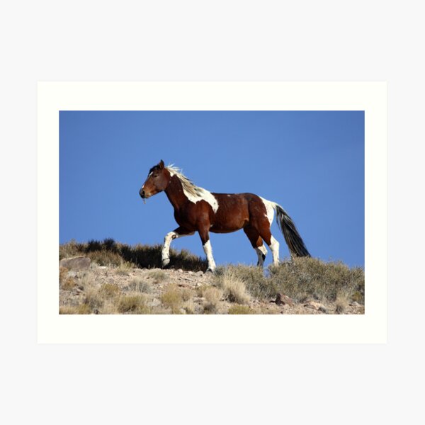 Painted Desert Art Print