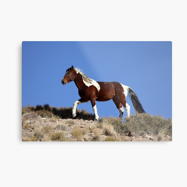 Painted Desert Metal Print
