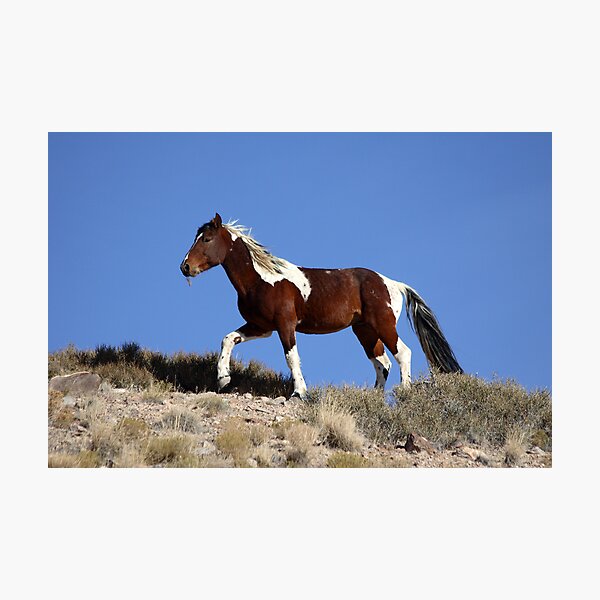 Painted Desert Photographic Print