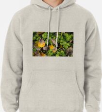Poplar leaves on the Snayle Pullover Hoodie