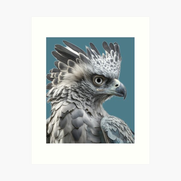 Harpy Eagle Art Print for Sale by PharaohofSedona