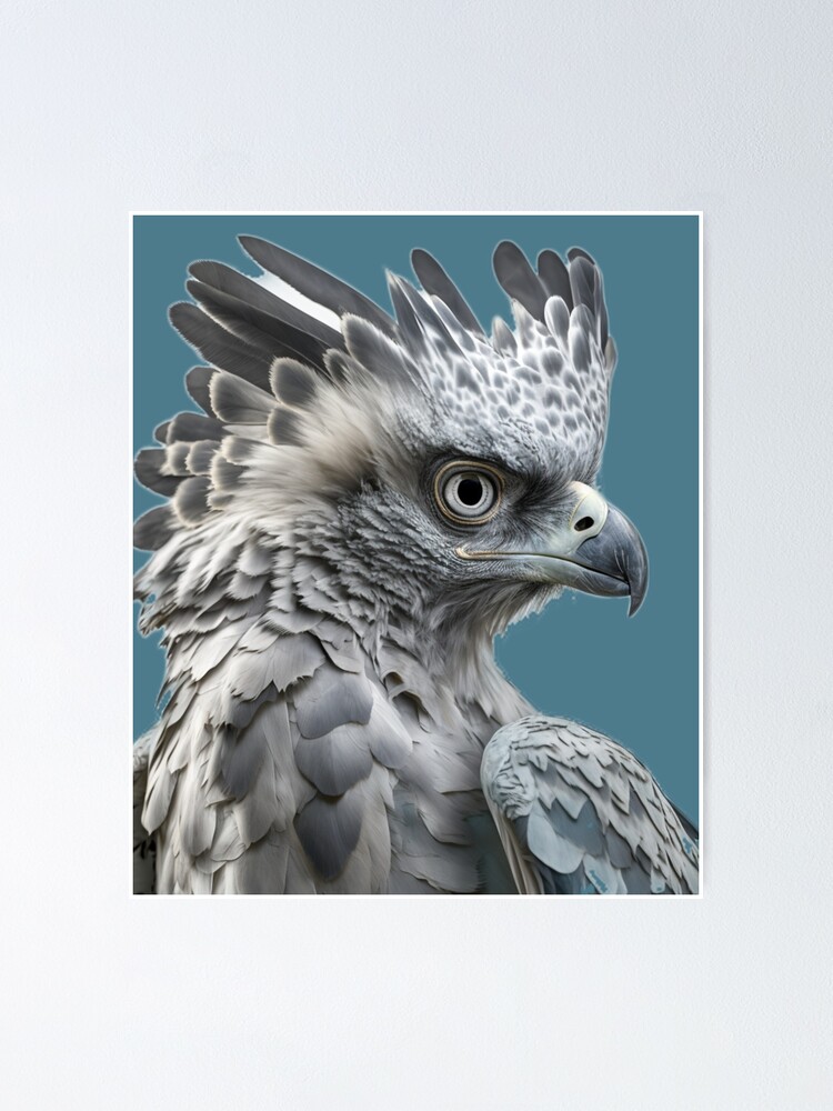 Blackchested Snake Eagle, harpy Eagle, Sea Eagle, golden Eagle, bald Eagle,  Rooster, Wings, galliformes, EAGLE, bird Of Prey | Anyrgb