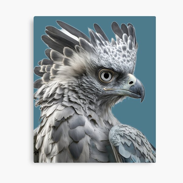 Philadelphia Eagles painted canvas  Eagle painting, Cute canvas paintings,  Canvas art painting