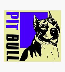 PIT BULL Photographic Print