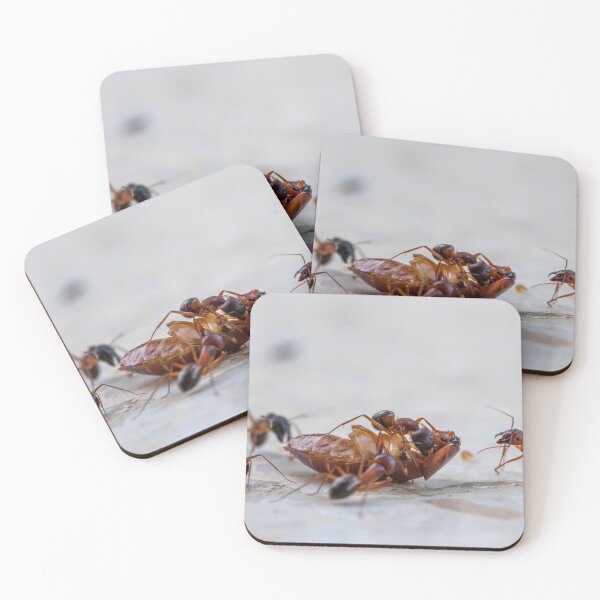 Item preview, The cockroach and the ants designed and sold by Manfred  Marquard.