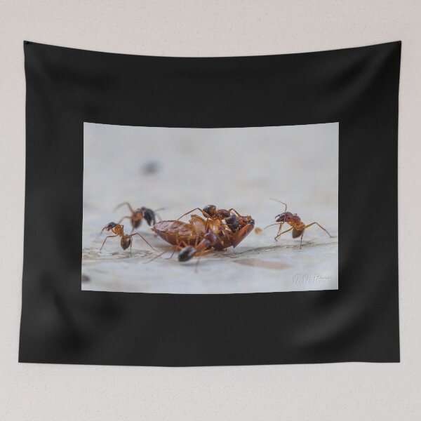 Item preview, The cockroach and the ants designed and sold by Manfred  Marquard.