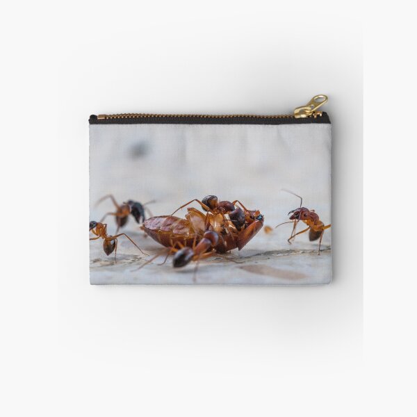 Item preview, The cockroach and the ants designed and sold by Manfred  Marquard.