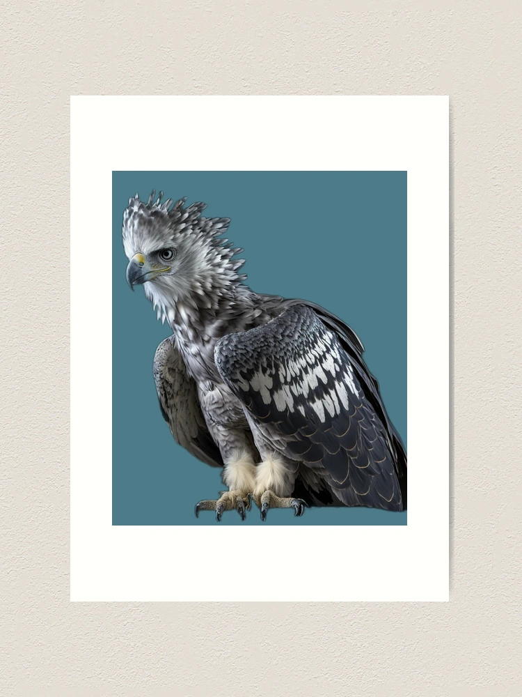  GREATBIGCANVAS Back View of a Harpy Eagle Unframed