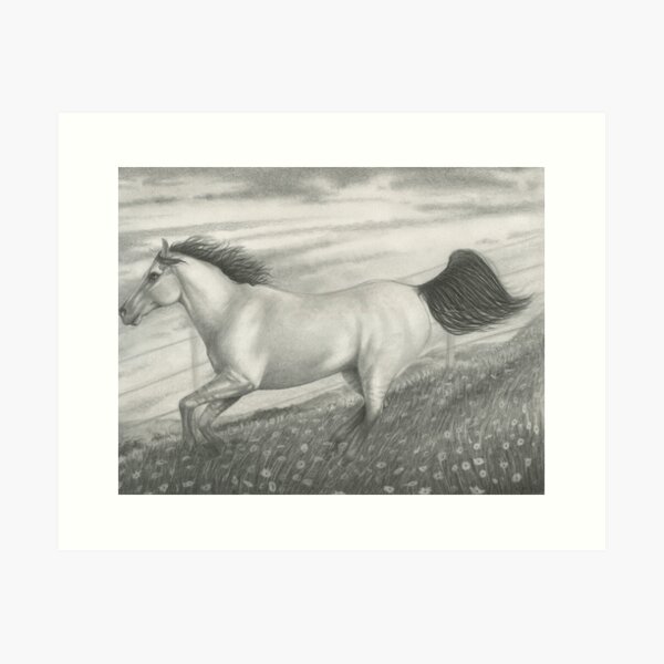 Summer Horse Art Print