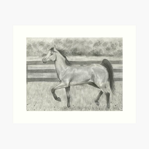 Danita's Morgan Art Print