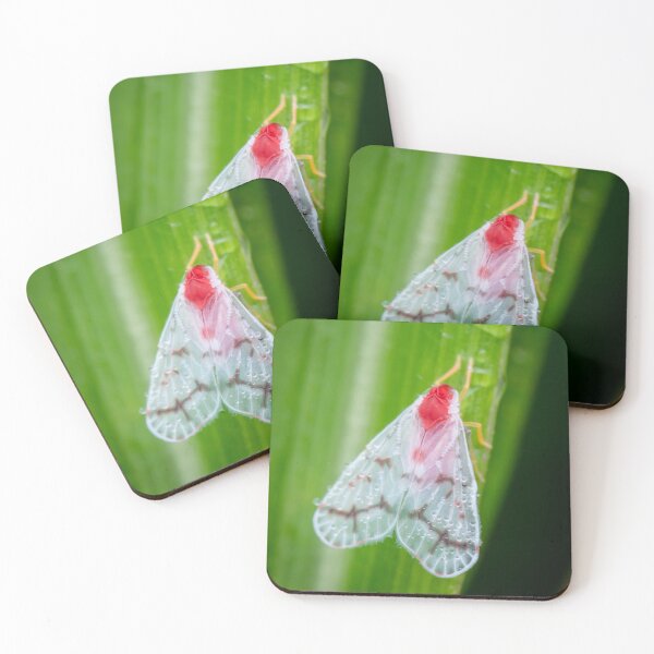 Item preview, An elegant Derbid planthopper (Saccharodite) designed and sold by AvonPerception.