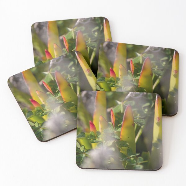 Item preview, Beautiful nature designed and sold by Manfred  Marquard.