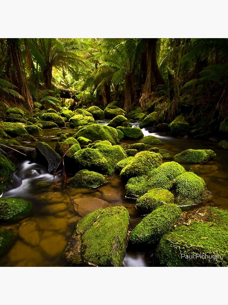 Flowing by paulmp