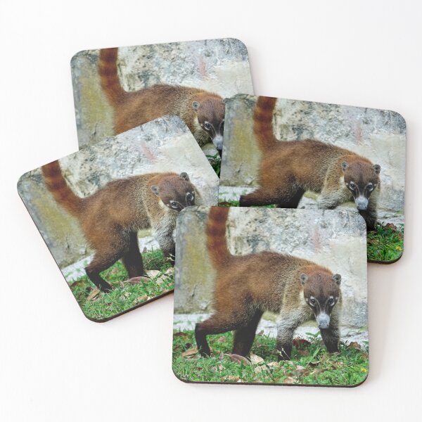 Item preview, Guatemala - Tikal archaeological site, Coatis designed and sold by franck380.