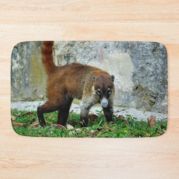 Item preview, Guatemala - Tikal archaeological site, Coatis designed and sold by franck380.