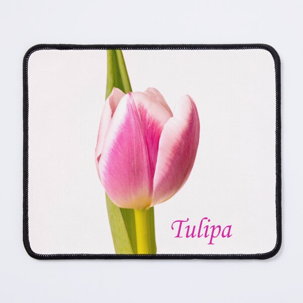 Item preview, Tulipa Pink designed and sold by Tanya C Smith.
