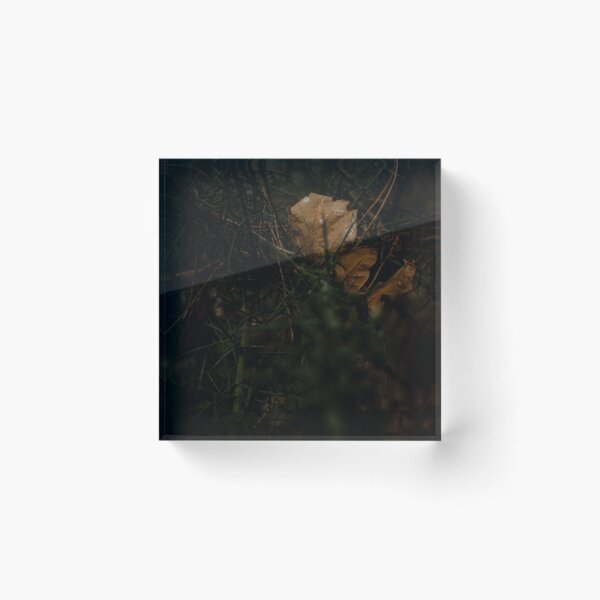 Item preview, Corner Leaf designed and sold by mag0215.