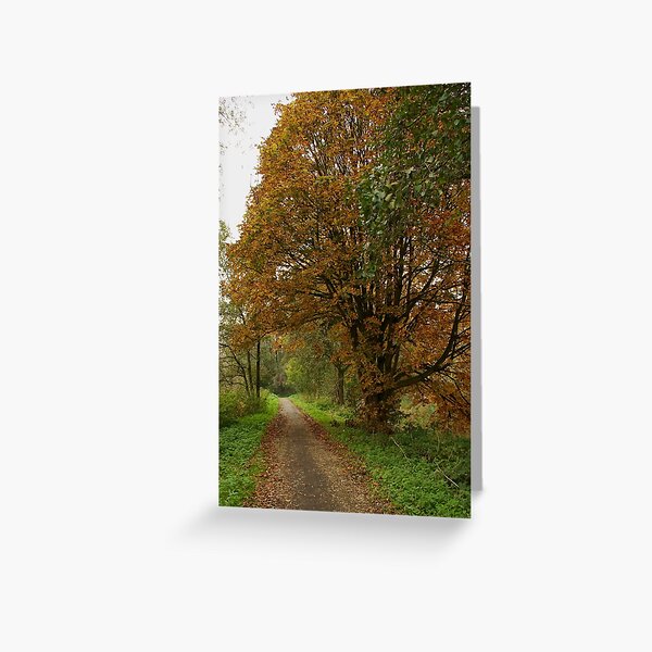 Path underneath the giant chestnut Greeting Card