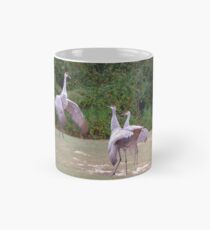 The Dance Instructor Mug