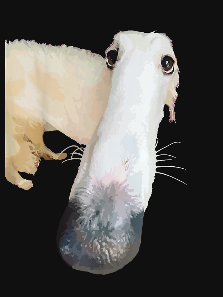 Borzoi funny cheap