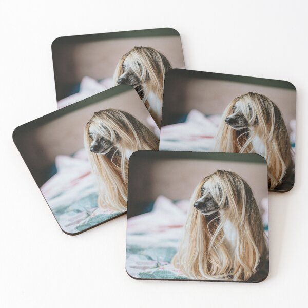 Item preview, Whippet in a wig designed and sold by Leila10.