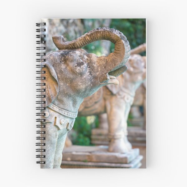 Item preview, Indian Elephant Statue and Sunlight designed and sold by Mats Silvan.