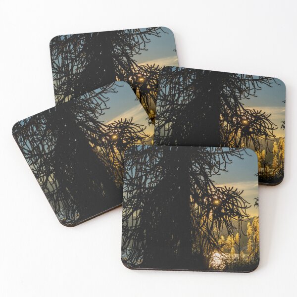 Item preview, Beautiful Tree and Pampas Grass with Sunlight designed and sold by Mats Silvan.