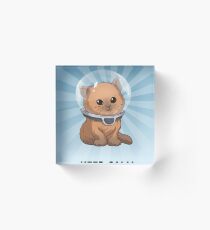 Keep Calm Kitty Acrylic Block