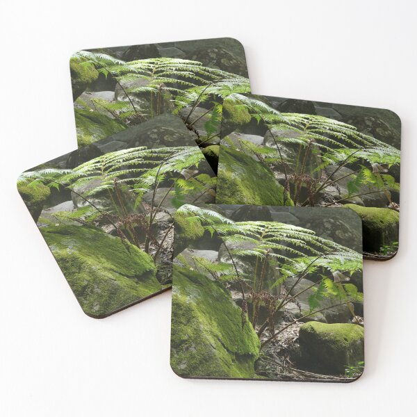 Item preview, Moss covered rocks and tree ferns designed and sold by jaynerushton.