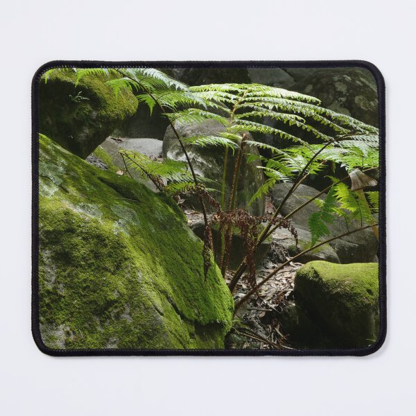 Item preview, Moss covered rocks and tree ferns designed and sold by jaynerushton.