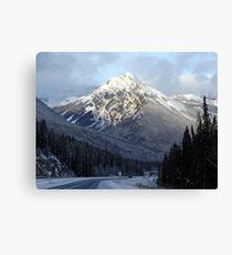 That Wintry Feeling Canvas Print