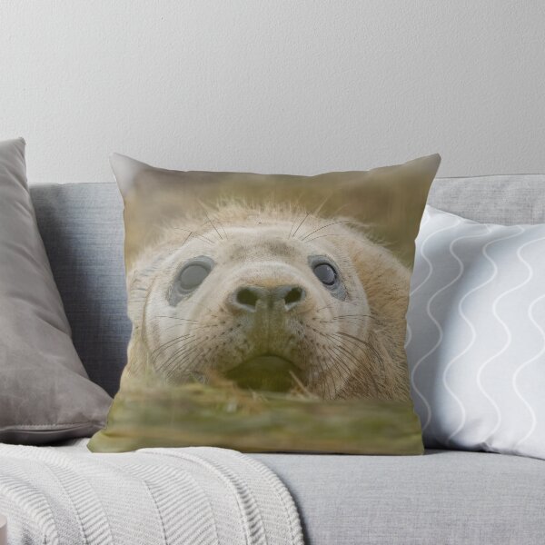 Item preview, Grey seal pup designed and sold by AliMarleyPhoto.