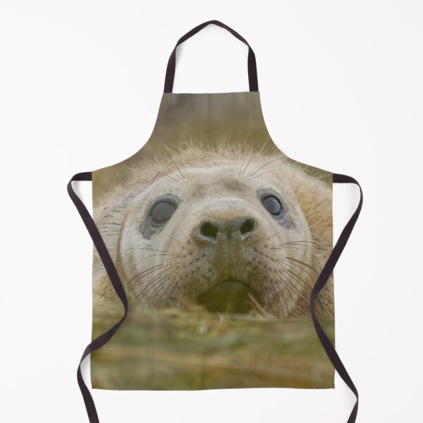 Item preview, Grey seal pup designed and sold by AliMarleyPhoto.