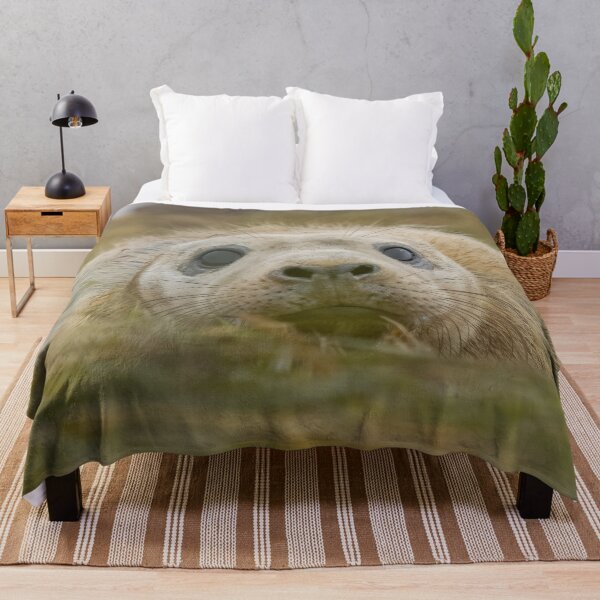 Item preview, Grey seal pup designed and sold by AliMarleyPhoto.