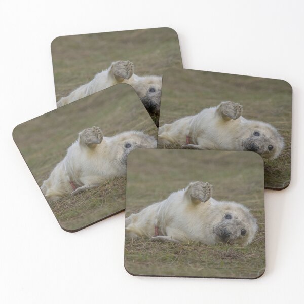 Item preview, Grey seal pup designed and sold by AliMarleyPhoto.