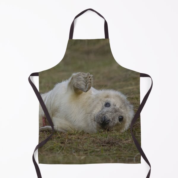 Item preview, Grey seal pup designed and sold by AliMarleyPhoto.