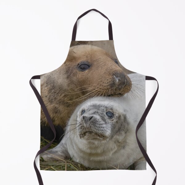 Item preview, Seal pup and mum designed and sold by AliMarleyPhoto.