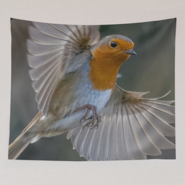Item preview, Robin in flight designed and sold by AliMarleyPhoto.