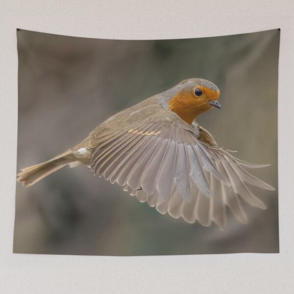 Item preview, Robin in flight designed and sold by AliMarleyPhoto.