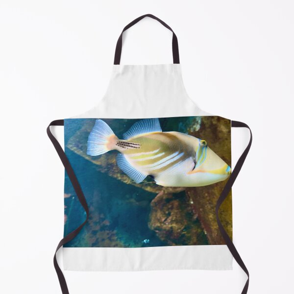 Item preview, bright fish designed and sold by BreeFarinaPhoto.