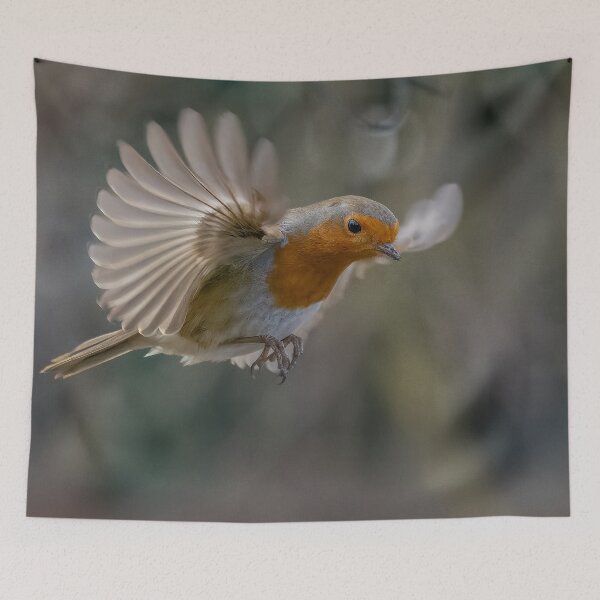 Item preview, Robin in flight designed and sold by AliMarleyPhoto.