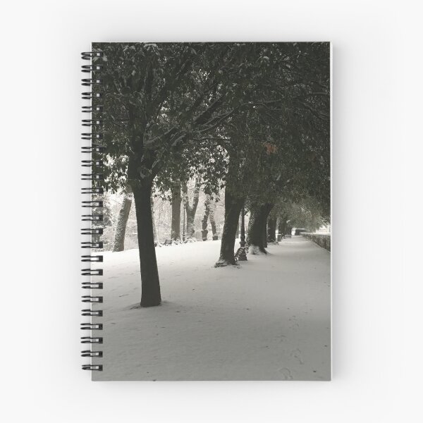 Item preview, Snow on the lucca wall designed and sold by BreeFarinaPhoto.