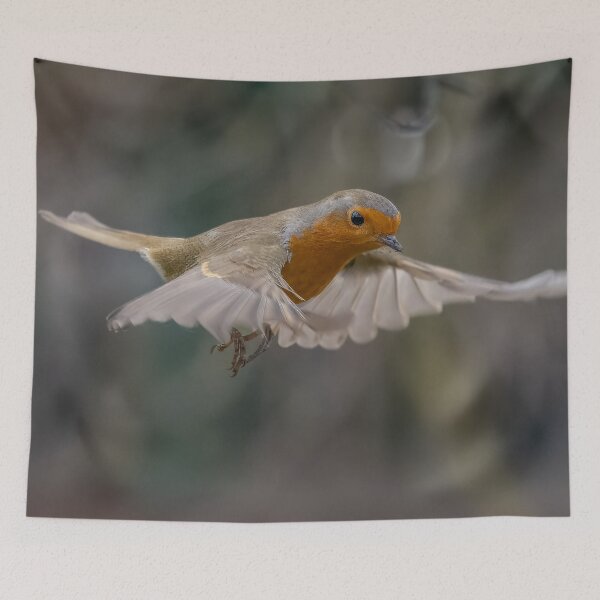 Item preview, Robin in flight designed and sold by AliMarleyPhoto.