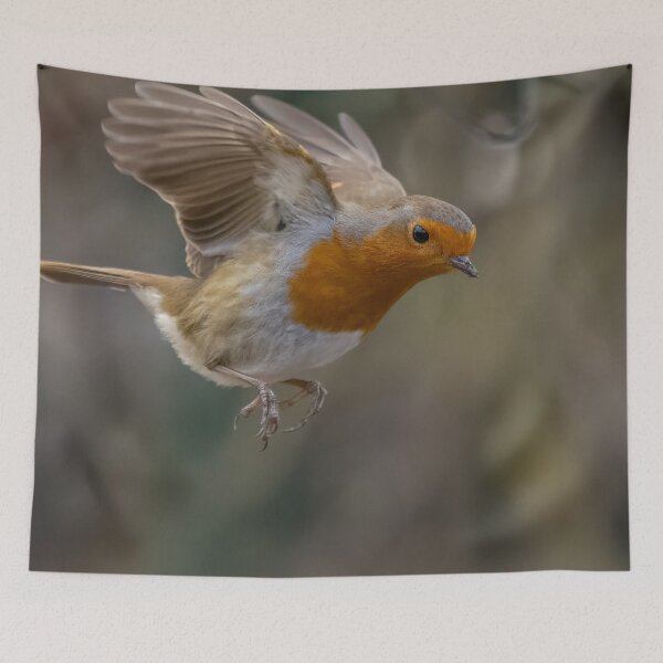 Item preview, Robin in flight designed and sold by AliMarleyPhoto.