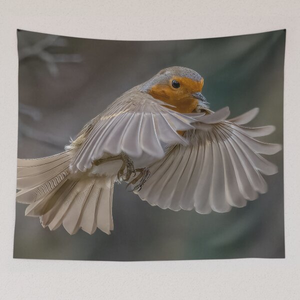 Item preview, Robin in flight designed and sold by AliMarleyPhoto.
